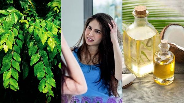 മുടി കൊഴിഞ്ഞ് തീരാറായോ? കറിവേപ്പിലയില്ലേ വീട്ടിൽ, അൽപം വെളിച്ചെണ്ണയും എടുക്കൂ;ഈ എണ്ണ മാത്രം മതി പരിഹാരം