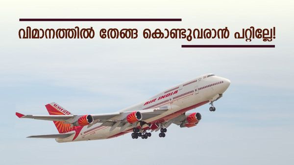 എന്തുകൊണ്ടാണ് വിമാനങ്ങളിൽ തേങ്ങ അനുവദിക്കാത്തത് എന്ന് അറിയാമോ? ഇതാണ് കാരണം