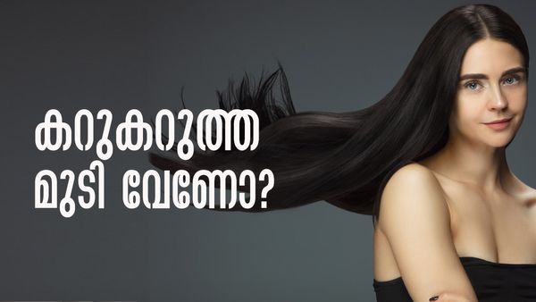 കട്ടിയുള്ള കറുകറുത്ത മുടി വേണോ..? ഈ വിത്തുകളുടെ എണ്ണകള്‍ നിങ്ങളെ സഹായിക്കും