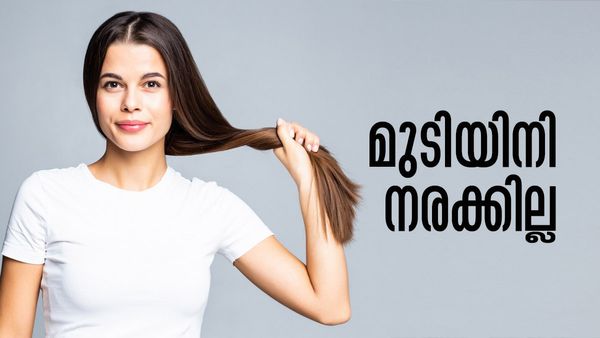 അകാലനരയും മുടികൊഴിച്ചിലും മാറും; ഡൈയൊക്കെ മാറ്റിവെക്കൂ, ഇത് കഴിച്ചോളൂ