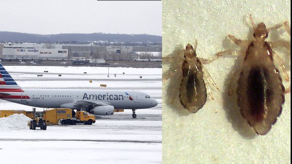 യാത്രക്കാരിയുടെ തലയില്‍ പേന്‍; വിമാനം അടിയന്തരമായി നിലത്തിറക്കി, വൈകിയത് 12 മണിക്കൂര്‍!