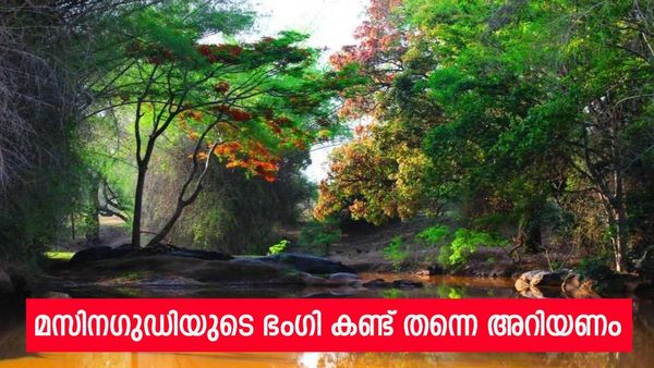 താമരശ്ശേരി ചുരം വഴി മസിനഗുഡി; അത് വല്ലാത്തൊരു എക്‌സ്‌പീരിയൻസ് തന്നെ, ഓണം അവിടെ ആഘോഷിക്കാം