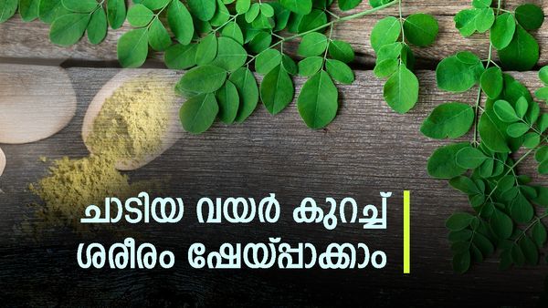 ചാടിയ വയറും തൂങ്ങിയ ചർമ്മവും മറന്നേക്കൂ; മുരിങ്ങ കൊണ്ട് ഇതുപോലെ ചായ ഉണ്ടാക്കി കുടിച്ചോളൂ..