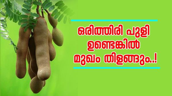 മുഖം പെട്ടെന്ന് തിളങ്ങണോ? എന്നാൽ പുളി തന്നെ വഴി; വീട്ടിൽ തന്നെ ഉണ്ടാക്കാം ഈ ഫേസ് പാക്കുകൾ