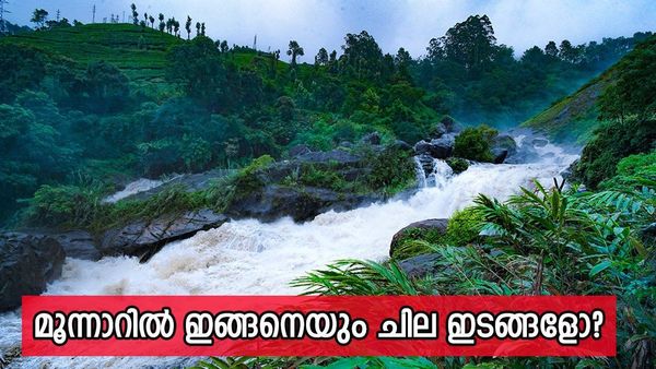 മൂന്നാറിനെ മറന്നോ സഞ്ചാരികളേ; ഒന്ന് ഫ്രഷായി വന്നാലോ? ആറ്റുകാട് വെള്ളച്ചാട്ടവും ടോപ് സ്‌റ്റേഷനും കാണാം