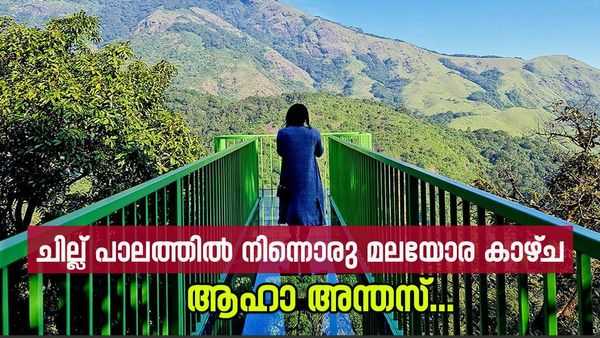 അമ്പമ്പോ..എന്തൊരു മനോഹര കാഴ്‌ച; 900 കണ്ടിയിലെ വൈബ് ഒന്ന് വേറെ തന്നെ, എടക്കൽ ഗുഹ കൂടി കാണാം  