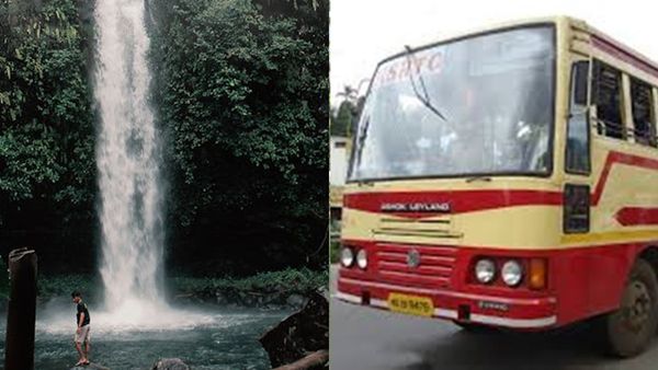 നട്ടുച്ചയ്ക്കും മഞ്ഞിൽ പൊതിഞ്ഞ് നിൽക്കുന്ന അമ്മച്ചിക്കൊട്ടാരവും ആനചാടിക്കുത്ത് വെള്ളച്ചാട്ടവും;യാത്ര പൊളിക്കും