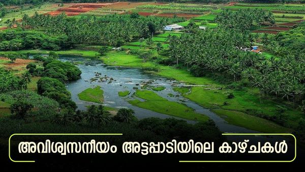 ഊട്ടിയിലേക്ക് പോവുന്ന വെറുംവഴി മാത്രമല്ല അട്ടപ്പാടി; നരസിമുക്ക് വ്യൂ പോയിന്റ് ഞെട്ടിക്കും, കാറ്റാടിപാടം കാണാം