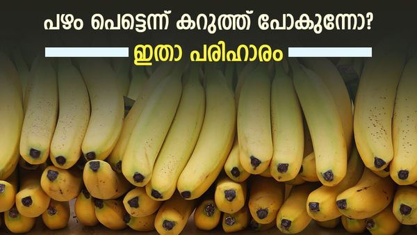 വാഴപ്പഴം വേഗത്തില്‍ കറുത്ത് പോകുന്നുണ്ടോ? വലിച്ചെറിയേണ്ട, വീട്ടില്‍ തന്നെയുണ്ട് പരിഹാരം