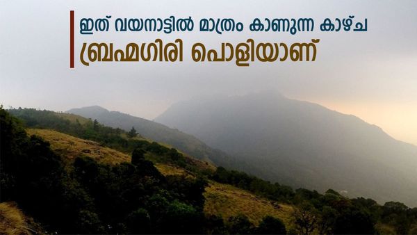 ബ്രഹ്മഗിരി കുന്നുകളിലെ ട്രെക്കിംഗ് ഒരു ഹരം തന്നെ; തിരുനെല്ലിയുടെ മനോഹാരിത ആസ്വദിക്കാം, കുടകും അടുത്ത്