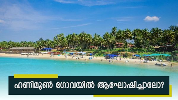 ഇന്ത്യയിലെ ഹോട്ട് ഹണിമൂൺ ഡെസ്‌റ്റിനേഷൻ; ഗോവ ഒരു വികാരം തന്നെ, വേറെ ഏത് ബീച്ചിൽ കിട്ടും ഈ വൈബ്