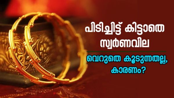 ആകാശം തൊട്ട് സ്വർണവില; ഇനിയും കുതിച്ചുപൊങ്ങുമോ? പണപ്പെരുപ്പം മുതൽ യുദ്ധം വരെ, കാരണങ്ങൾ ഇവയൊക്കെ 