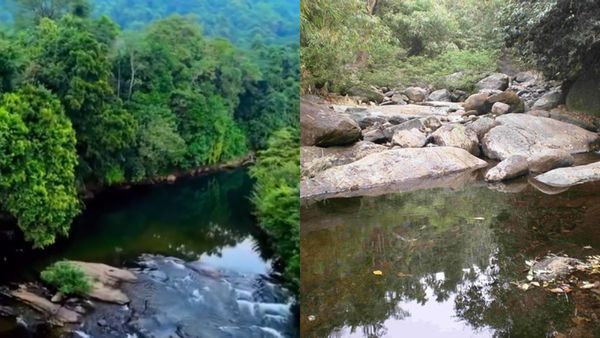 ചെറിയ മഴയും കാട്ട് പാതയിലൂടെ ഡ്രൈവിംഗും; ജാനകിക്കാടേക്ക് വിട്ടാലോ? പെരുവണ്ണാമൂഴി ഡാമും കാണാം