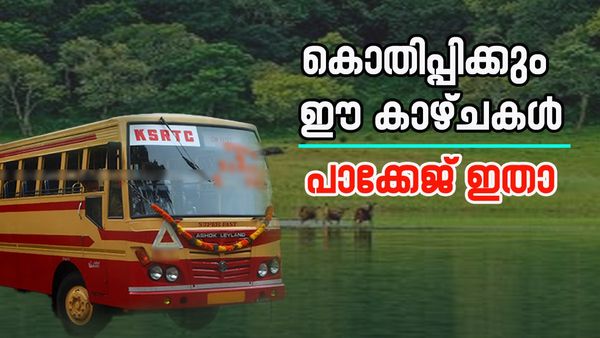 തമിഴ്നാടിന്റെ അഡാറ് വ്യൂ, തേക്കടിയും കറങ്ങാം മുന്തിരിത്തോപ്പും കാണാം';പാക്കേജ്