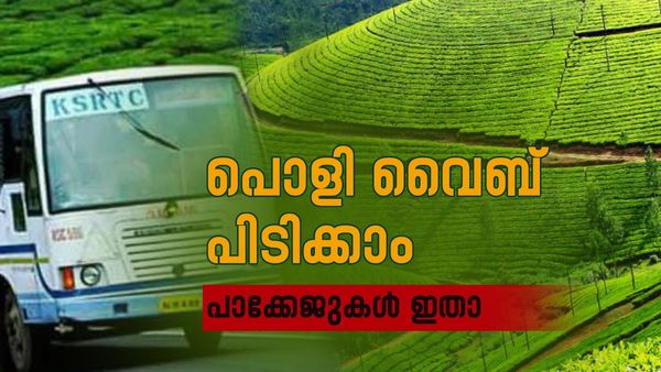 കാടും കോടയും മഴയും മനംകുളിർപ്പിക്കും; ഇതാണ് കാത്തിരുന്ന യാത്ര,അതും നമ്മുടെ സ്വന്തം ആനവണ്ടിയിൽ