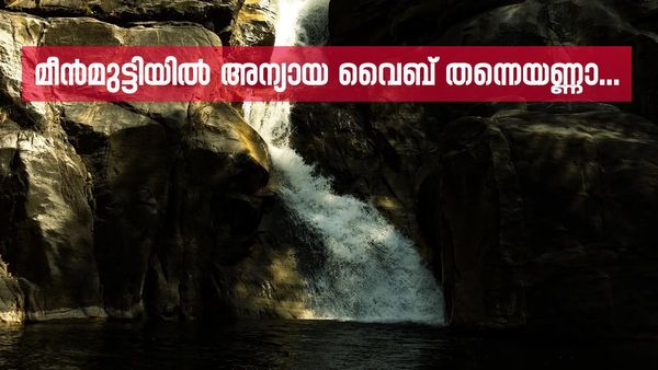 ഇങ്ങ് തെക്കൻ കേരളത്തിലുമുണ്ട് ഒരു മീൻമുട്ടി; വെള്ളച്ചാട്ടം അടിപൊളി, വെറൈറ്റിക്ക് കോയിക്കൽ പാലസും കാണാം