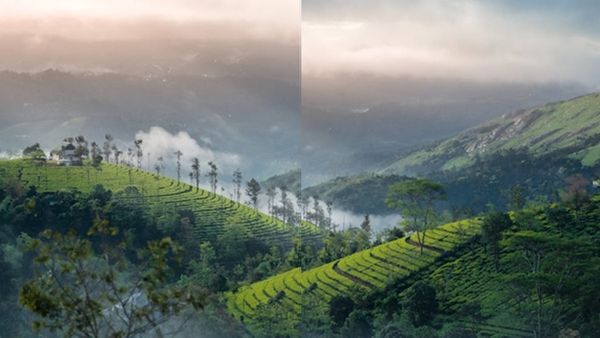 കോട പുതഞ്ഞ് മൂന്നാർ റെഡി; ഓണത്തിന്റെ ക്ഷീണം മാറ്റാൻ നേരെ പോകാം; ഇതാ പാക്കേജ്