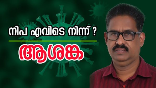 തിരുവാലിയിലെ നിപ ഉറവിടം കണ്ടെത്താനായില്ല; 'വീടിന് സമീപം വവ്വാലുകളുടെ ആവാസ വ്യവസ്ഥ ഇല്ല'