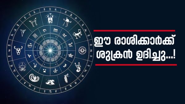 3 മാസം കഴിഞ്ഞാൽ ഈ രാശിക്കാർക്ക് രാജാവിനെ പോലെ ജീവിക്കാം; വീടും വാഹനവും സ്വന്തമാകും, പണം നിറയും