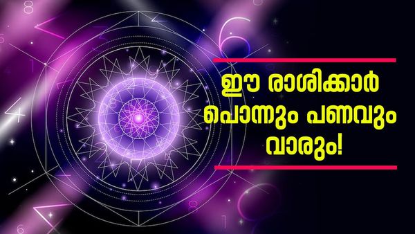 പാെന്നും പണവും വന്നുചേരും; വീടെന്ന സ്വപ്നം സഫലമാകും, ജോലിയിൽ സ്ഥാനക്കയറ്റവും, ഈ രാശിക്കാരാണോ?