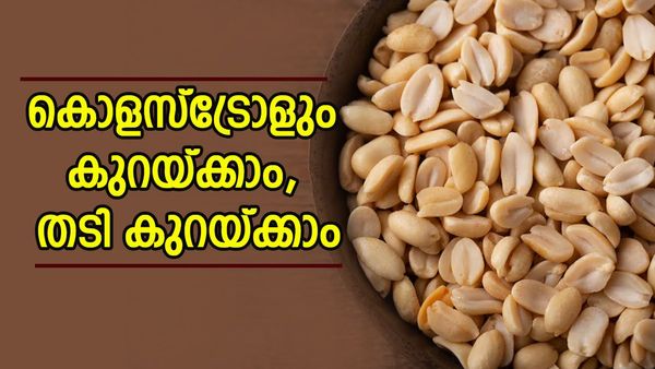 നിലക്കടല കഴിച്ചാൽ തടി കുറയുമോ? കൊളസ്ട്രോളോ? വിശദമായി അറിഞ്ഞാലോ