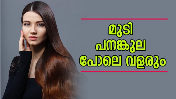 ഒരു  മുടി പോലും ഇനി കൊഴിയില്ല, മുട്ടറ്റം വളരും; മുരിങ്ങയില ഇതുപോലെ ഉപയോ​ഗിച്ചാൽ മതി