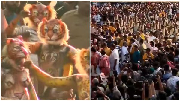 തൃശൂരിനെ ഇളക്കിമറിച്ച് പുലികൾ ഇറങ്ങി; താളമേള ആഘോഷം; എങ്ങും പുലി മേളം