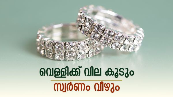 സ്വര്‍ണവിലയെ പിന്നിലാക്കി വെള്ളി വില കുതിക്കും? അധികം വൈകില്ല, പഠനങ്ങള്‍ പറയുന്നതിങ്ങനെ