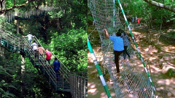 തെന്മല യാത്ര അടിച്ചുപൊളിക്കാം; കുടുംബത്തോടൊപ്പം അവധി ആഘോഷിക്കാൻ പറ്റിയ ഇടം, ഇതാണ് കാരണം