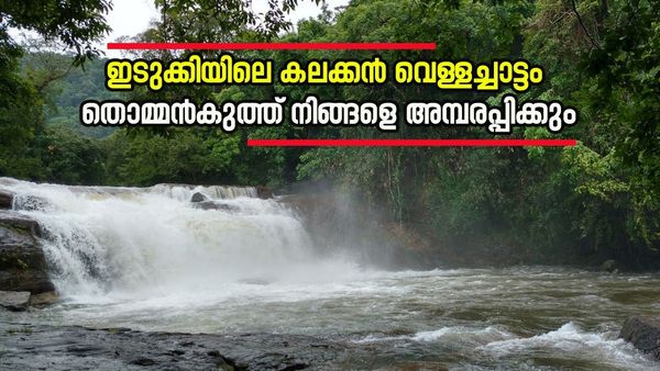 ഇടുക്കിയിൽ ഇങ്ങനെയൊരു വെള്ളച്ചാട്ടം ഉണ്ടായിരുന്നോ? തൊമ്മൻകുത്ത് ശരിക്കും ഞെട്ടിക്കും, കാരണം ഇതാണ്