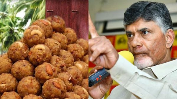 തിരുപ്പതി ലഡ്ഡുവില്‍ മൃഗക്കൊഴുപ്പ്, ലാബ് റിപ്പോര്‍ട്ട്; ജഗനെതിരെ വാളെടുത്ത് ചന്ദ്രബാബു നായിഡു