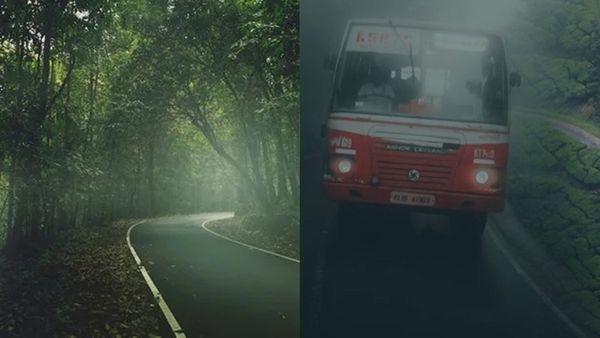 ഓണം തകർത്താൽ പിന്നെ കോട മൂടിയ കാഴ്ചകളിലേക്ക് ഒരു യാത്ര പോകാം?;കെഎസ്ആർടിസിയുടെ പാക്കേജ്