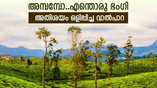 അതിരപ്പിള്ളി വഴി വാൽപാറയിലേക്കൊരു ട്രിപ്പ്; കാടും മലയും കൺകുളിർക്കെ കാണാം, ഈ ഓണത്തിന് വിട്ടാലോ?