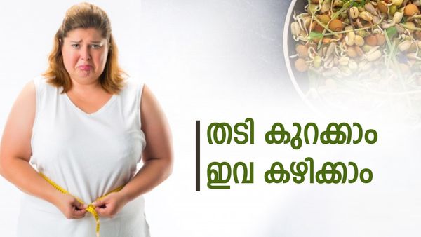 ഈ ഭക്ഷണങ്ങൾ മതി, ഏത് തടിയും കുറയും; ധൈര്യമായി തന്നെ കഴിച്ചോളൂ