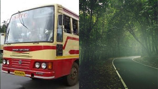 കോടമൂടിയ കാട്ടുവഴിയിലൂടെ ആനവണ്ടിയിൽ ഒരു യാത്ര പോകാം?; അടിച്ചുകേറിവാ..ആരേയും കൊതിപ്പിക്കും കാഴ്ചകൾ