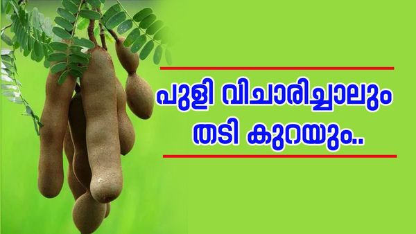  പുളിച്ചോറും പുളി വെള്ളവും; വണ്ണം കൂടിവരുന്നതോർത്ത് ഇനി ആശങ്ക വേണ്ട, ഇതൊന്ന് പരീക്ഷിച്ചുനോക്കൂ...