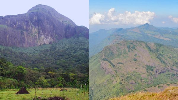 അഗസ്ത്യാർകൂടത്തിന്റെ അറ്റത്തേക്ക് നടന്ന് കയറാം; ഓഫ് സീസൺ ട്രെക്കിംഗിന് അവസരം, ചിലവ് 40,000 രൂപ..!