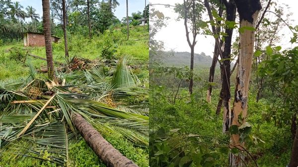 ആറളം ഫാമില്‍ കാട്ടാനക്കൂട്ടം നിര്‍മ്മാണം നടന്നുകൊണ്ടിരിക്കുന്ന വീട് തകര്‍ത്തു