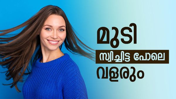 മുടി നന്നായി വളരണമെങ്കിലേ ഇതൊക്കെ കഴിക്കണം; അല്ലാതെ എന്ത് വാരിത്തേച്ചാലും കാര്യമില്ല