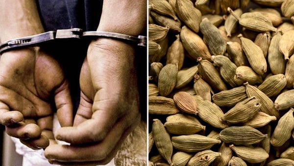 മുന്‍ എസ്റ്റേറ്റ് ജീവനക്കാരന്റെ പ്ലാന്‍... 52 കിലോ ഏലയ്ക്ക മോഷ്ടിച്ച് കടത്തി, ഒടുവില്‍ പിടിയില്‍