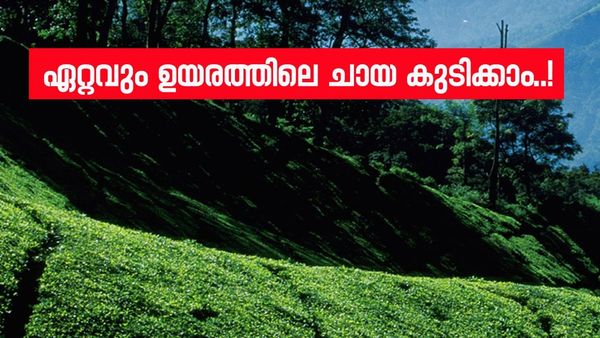 മൂന്നാറിൽ നിന്ന് അധികദൂരമില്ല; കൊളുക്കുമല നിങ്ങളെ ഞെട്ടിക്കും, ഉയരം കൂടുന്തോറും കാഴ്‌ചയുടെ ഭംഗിയും കൂടും