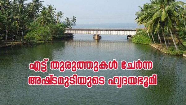 ഓളപ്പരപ്പിലൂടെ ഒരു അടിപൊളി യാത്ര, മൺറോ തുരുത്ത് കണ്ട് വന്നാലോ? ദീപാവലി ആഘോഷിക്കാൻ പറ്റിയ ഇടം