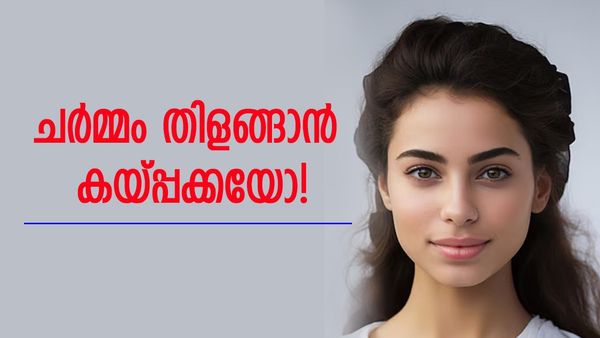 മുഖത്തെ ചുളിവും മാറും, പ്രായം തോന്നുകയുമില്ല; കയ്പ്പക്ക കാെണ്ട് തയ്യാറാക്കാം ഫേസ് പാക്ക്