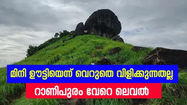 റാണിപുരം അഥവാ കേരളത്തിന്റെ ഊട്ടി; ട്രെക്കിംഗ് ആഘോഷമാവുന്ന ഇടം, മൂടൽമഞ്ഞ് പുതച്ച മലനിരകൾ കാണാം
