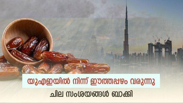 യുഎഇയില്‍ നിന്ന് ഈത്തപ്പഴം വന്‍തോതില്‍ എത്തുന്നു; സംശയത്തോടെ ഇന്ത്യ, പാകിസ്താന്‍ കളിക്കുന്നോ