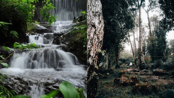 സൂചിപ്പാറ തുറന്നു മക്കളേ..; ചുരം കയറി വയനാട്ടിലേക്ക് പോര്, കാത്തിരിക്കുന്ന കാഴ്ചകൾ ഇതാ