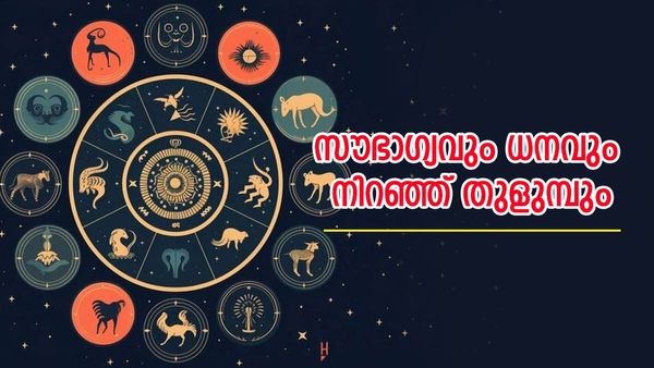 സമ്പത്ത് വന്ന് മൂടും, ആഗ്രഹിച്ചതെല്ലാം സ്വന്തമാക്കാനാവും; ഈ രാശിക്കാര്‍ക്ക് ലഭിക്കും സൗഭാഗ്യ ജീവിതം