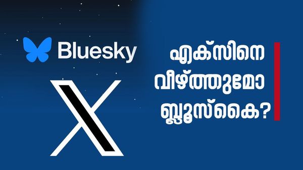 എക്‌സ് എന്ന വന്‍മരം വീഴുന്നോ? ഇനി ബ്ലൂസ്‌കൈയുടെ കാലം! ആരാണ് പിന്നില്‍? അറിയേണ്ടതെല്ലാം