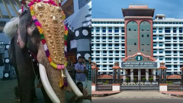 '30 കിലോമീറ്ററിലധികം നടത്തിക്കരുത്, 3 മണിക്കൂറിലധികം നിർത്തരുത്'; ആന എഴുന്നള്ളിപ്പിന് കർശന മാർഗനിർദ്ദേശം