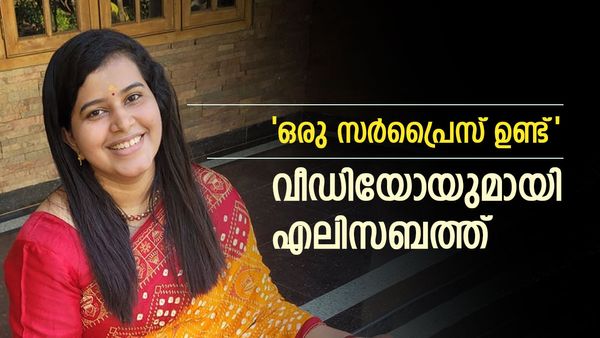 'ഞാൻ ഹാപ്പിയാണ് ,കാരണം, മറ്റൊരു സർപ്രൈസും'; അമൃത സുരേഷിന്റെ വീഡിയോയ്ക്ക് പിന്നാലെ എലിസബത്ത്